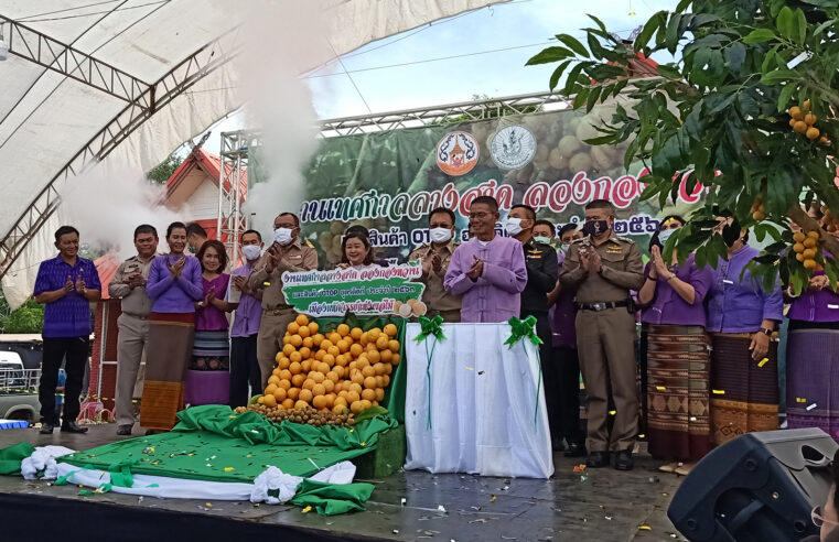 ชวนชิมช้อปลางสาด-ลองกองและสินค้าโอทอปเมืองอุตรดิตถ์