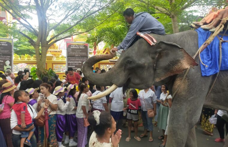 ช้างชูงวงรับเงินทำบุญส่งให้เจ้าของถวายวัดในงานกฐิน