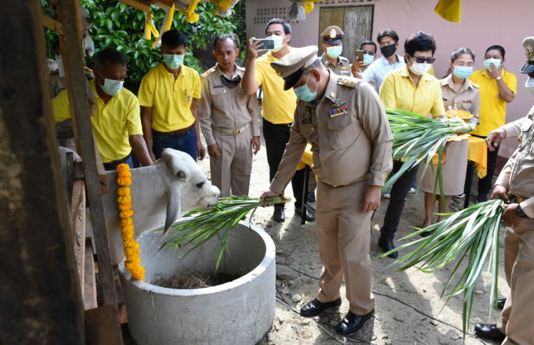 โครงการธนาคารโค-กระบือ เพื่อเกษตรกรตามพระราชดำริ