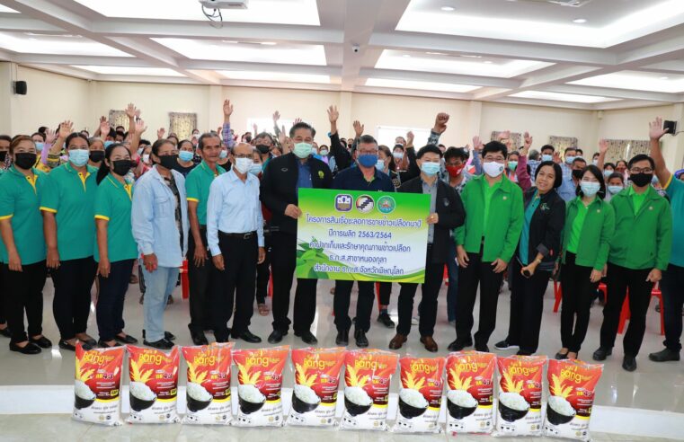 สมาชิกสหกรณ์เฮ รับเงินชะลอขายข้าวเปลือกนาปี กว่า 1.7 ล้านบาท