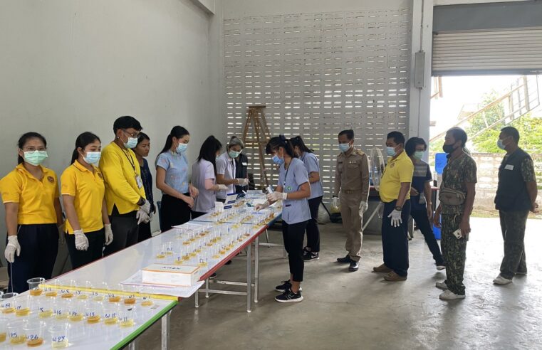 ตรวจฉี่กำนันผู้ใหญ่บ้านผลเป็นลบทั้งหมด