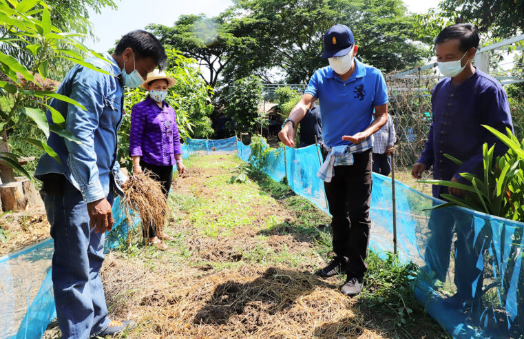 เมือง 3 ธรรม น้อมนำเศรษฐกิจพอเพียงรวมพลังปลูกผัก รักษ์โลก