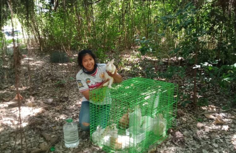 กู้ภัยจับกระต่ายคาดเจ้าของนำมาปล่อยเหตุสู้พิษโควิดไม่ไหว