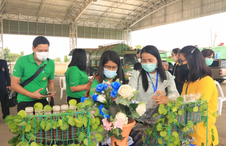 ประเมินเมืองสิ่งแวดล้อมยั่งยืน ประจำปี 2563