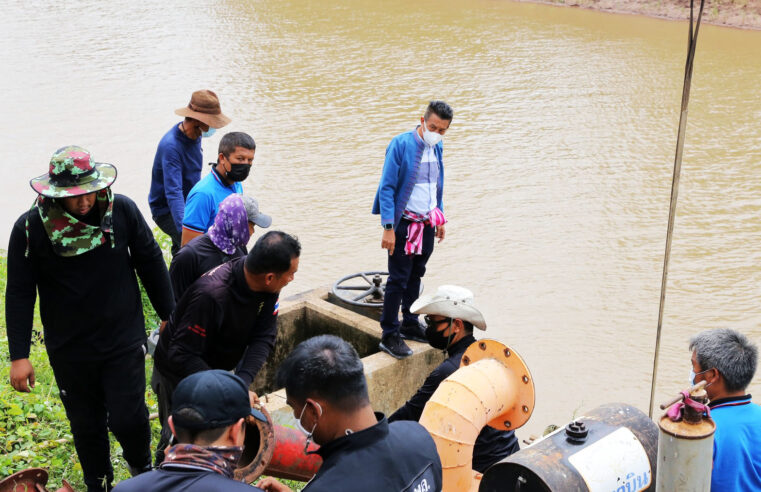 เร่งช่วยชาวนาก่อนต้นข้าวยืนต้นตาย