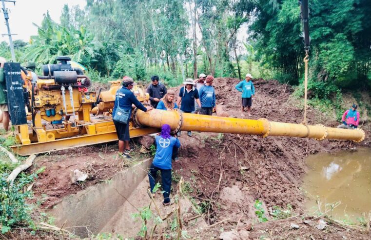 เร่งช่วยชาวนาก่อนข้าวยืนต้นตาย