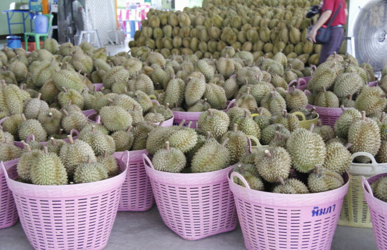 อุตรดิตถ์วางมาตรการเข้มป้องกันโควิด-19 หวั่นเศรษฐกิจพัง