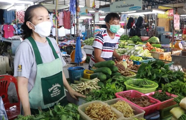 ราคากระชายขาวพุ่งสูง ก.ก. 200 บาท แล้ว