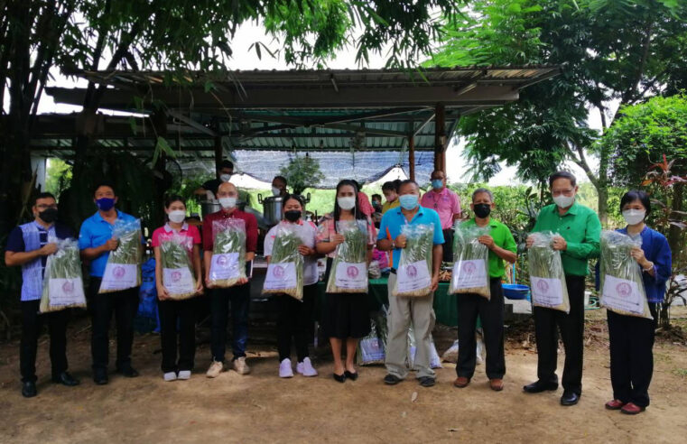 ต้มน้ำสมุนไพรแจกผู้ป่วยโควิดศูนย์พักคอย จ.พิษณุโลก