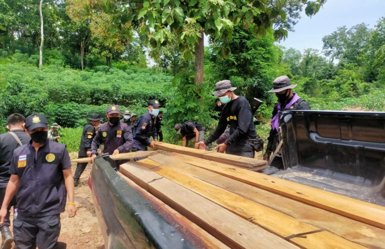 ตรวจยึดไม้สักแปรรูปกลางป่าสงวนแห่งชาติ