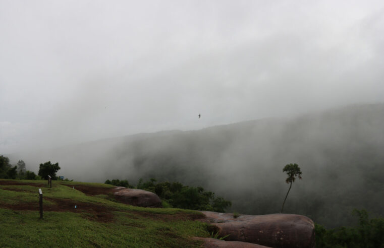 เที่ยวทิพย์…ชมหมอกยามเช้าหลังฝนตกบนภูหินร่องกล้า
