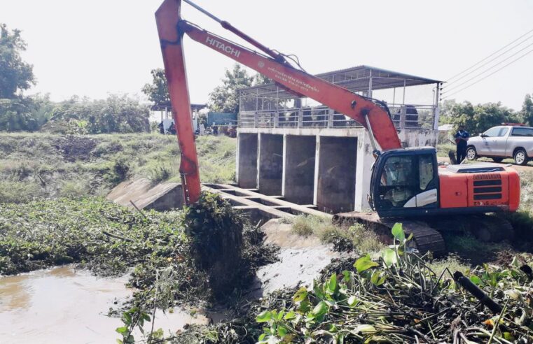 ขจัดผักตบชวาและวัชพืชเปิดทางระบายน้ำราบรื่น