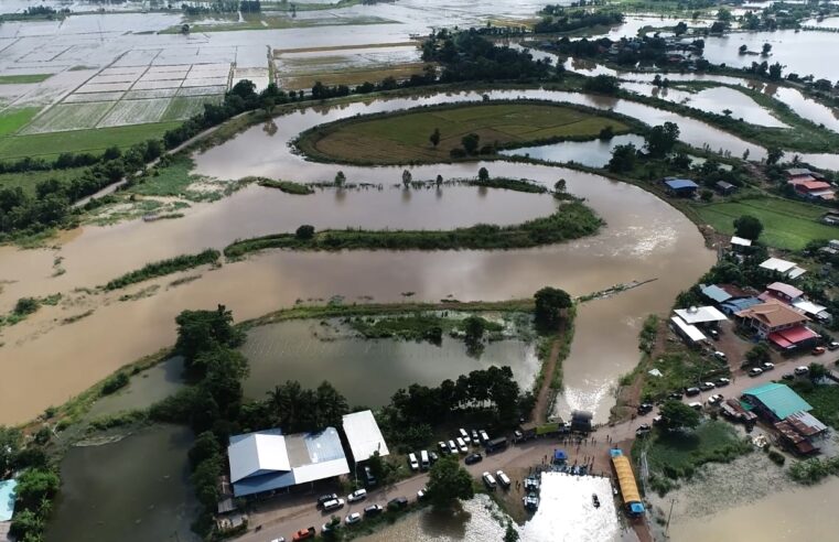 ปล่อยพันธุ์ปลาลงสู่ทุ่งบางระกำเพื่อเสริมสร้างอาชีพประมงให้ชาวบ้าน