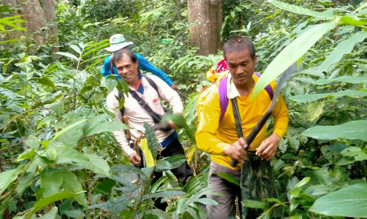 สำรวจปรับเส้นทางเดินป่าชมทุ่งโนนสนรอเปิดรับ นทท.