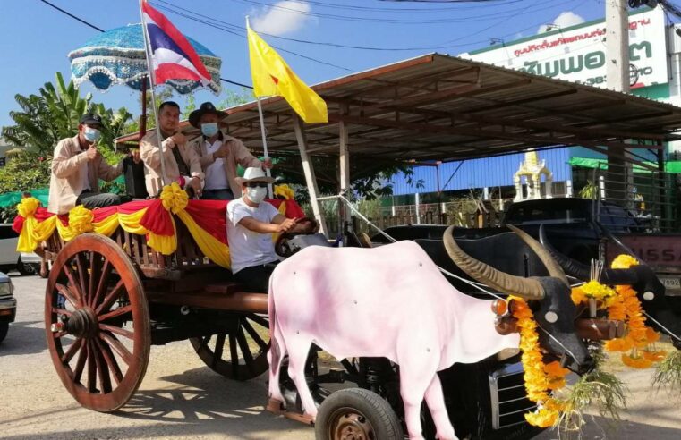 สีสัน…โค้งสุดท้ายการหาเสียงผู้สมัครนายก อบต.สมอแข