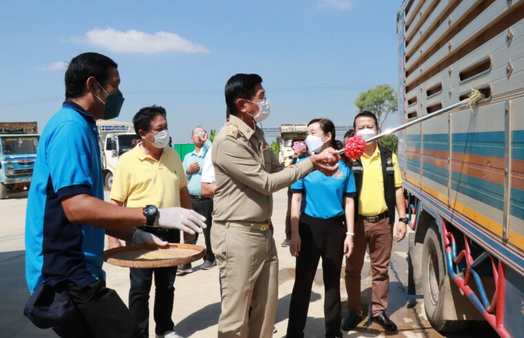 สหกรณ์จับมือพาณิชย์จังหวัดตรึงราคารับซื้อผลผลิตข้าวเปลือกช่วยเกษตรกร