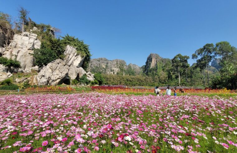 วันหยุด นทท.พากันไปชมสวนดอกไม้เขาน้อย 360 องศา ที่บ้านมุง