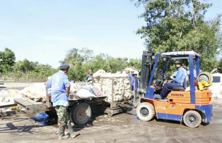 ชาวสวนยางใช้หลักสหกรณ์รวมกลุ่มประมูลขายยางได้ราคาดี
