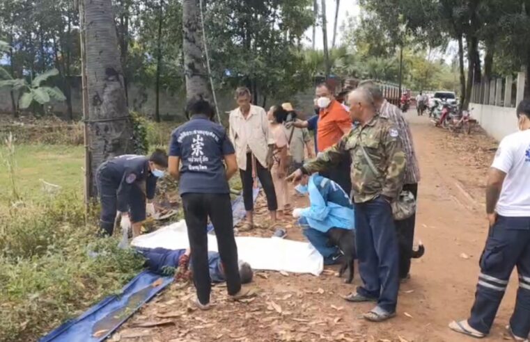 สลดพ่อเฒ่าตกต้นตาลขณะแทงราวจนเสียชีวิต