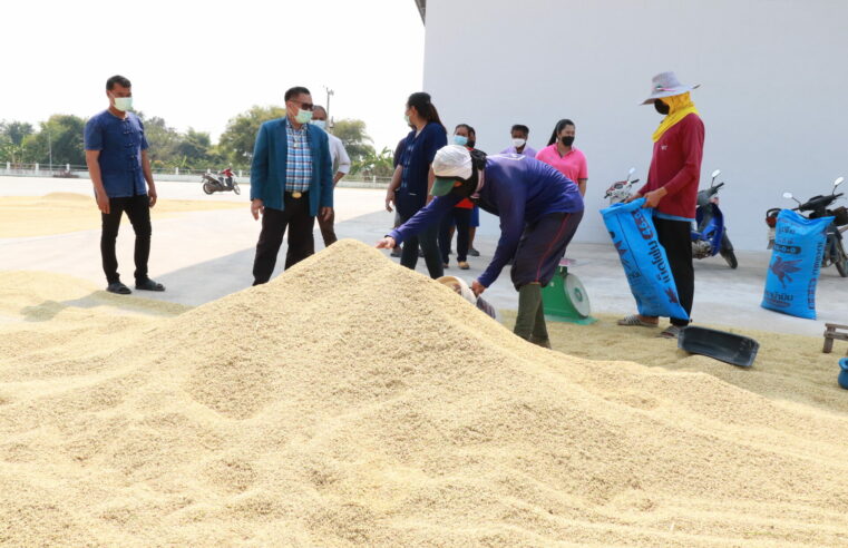 สหกรณ์ฯ หนุนเปิดจุดรวบรวมรับซื้อผลผลิตเกษตร