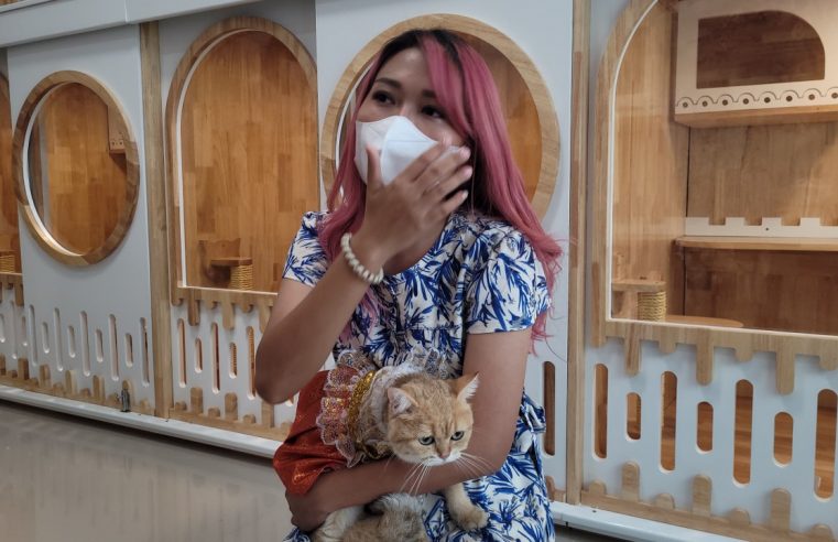 แม่ “เบบี้” เจ้าสาวปลื้มถึงกับน้ำตาไหลในงานแต่ง