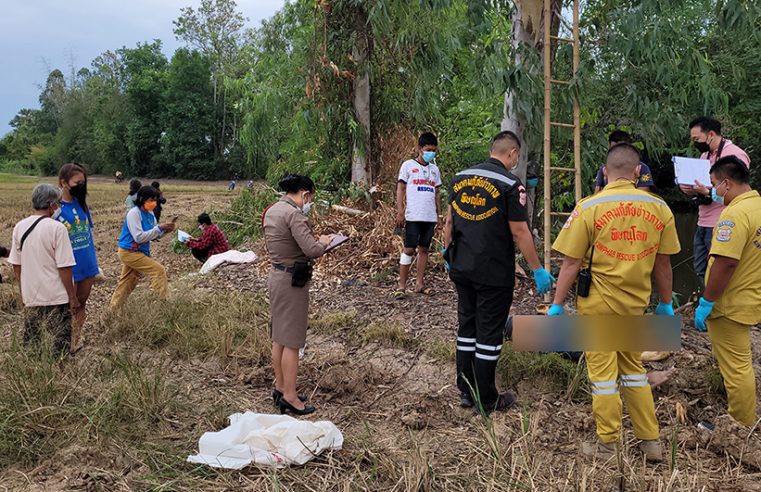 พ่อเฒ่าขึ้นบันไดสูงเพื่อตัดกิ่งยูคาทำฟืนพลาดตกลงมาดับสลด
