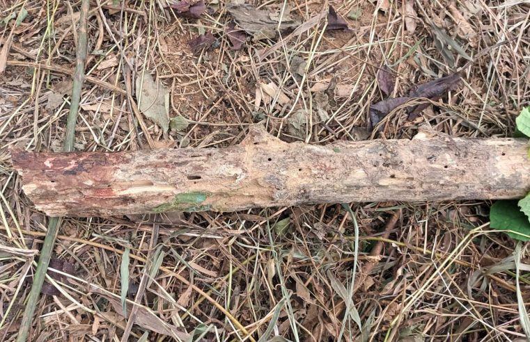 จับแล้วคนงานโหดรับสารภาพฉุนถูกด่าเลยฆ่ายายวัย 73 ปี