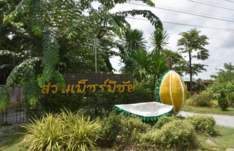 สกายวอล์ก ชม-ชิมหลง-หลินลับแล