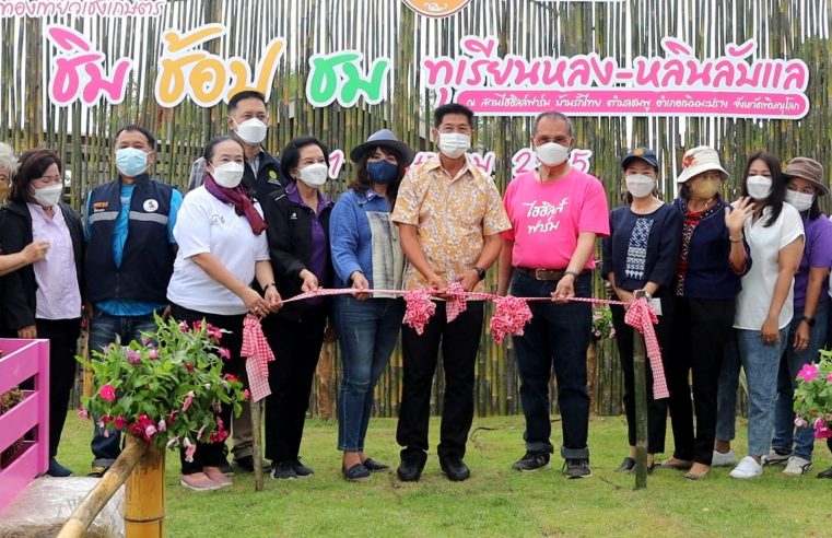 เปิดเทศกาลท่องเที่ยวเชิงเกษตร ชิม ช้อป ชม ทุเรียนหลง-หลิน ที่ High-Hills Farm
