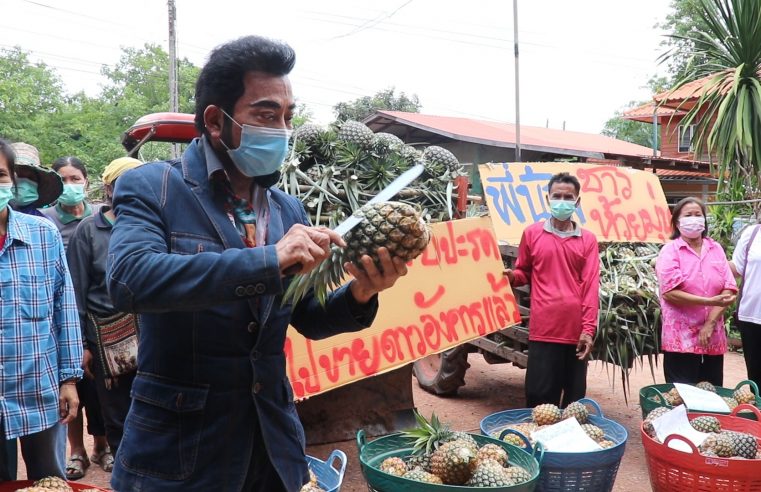 ส.ส.ศรัณย์วุฒิ ร้องบิ๊กตู่ช่วยเกษตรกรผู้ปลูกสับปะรดห้วยมุ่น
