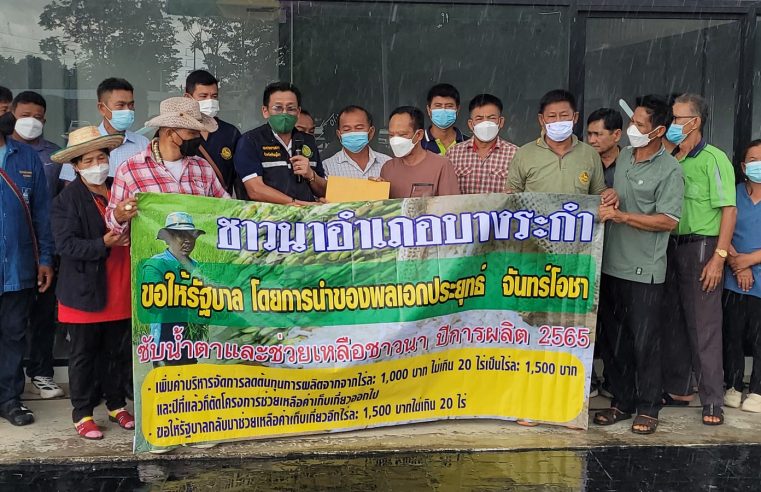 ชาวนาบางระกำวอนรัฐบาลช่วยซับน้ำตาให้