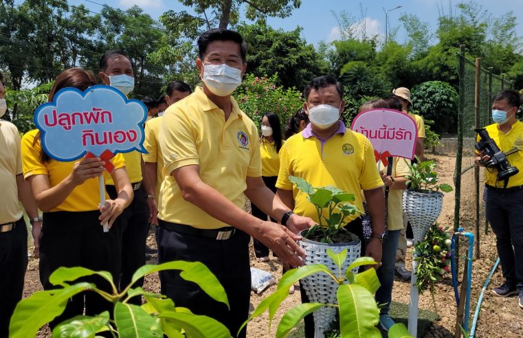 เมืองสองแคว Kick Off บ้านนี้มีรัก ปลูกผักกินเอง