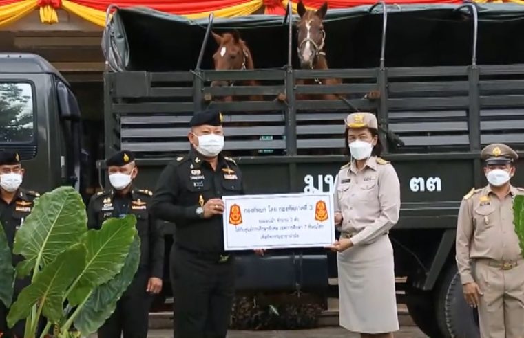 กองทัพภาคที่ 3 มอบม้าให้นักเรียนพิเศษใช้ในกิจกรรมอาชาบำบัด