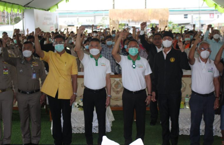 เมืองคอนจัดงานครบรอบ 1 ปี วันปลดล็อคพืชกระท่อม