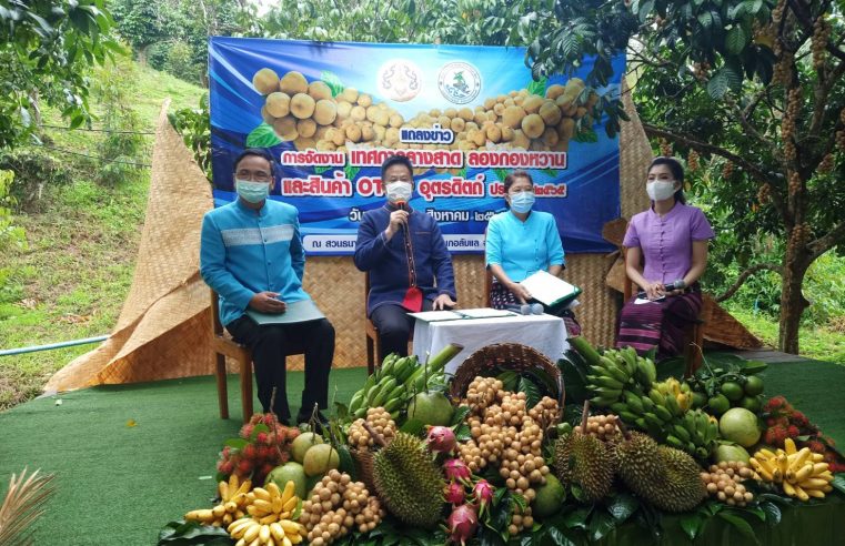 ชวนเที่ยวงานเทศกาลลางสาดลองกองหวานและสินค้า OTOP จังหวัดอุตรดิตถ์