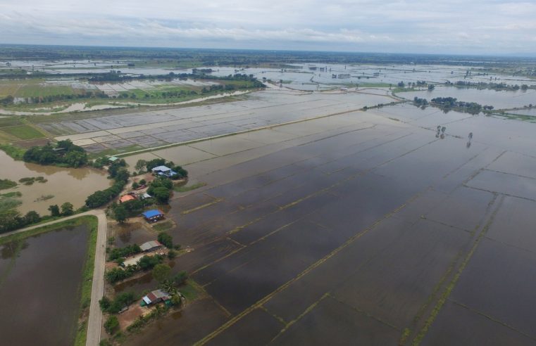 น้ำเหนือหลากเข้าทุ่งบางระกำโมเดล 33.23 ล้าน ลบ.ม.