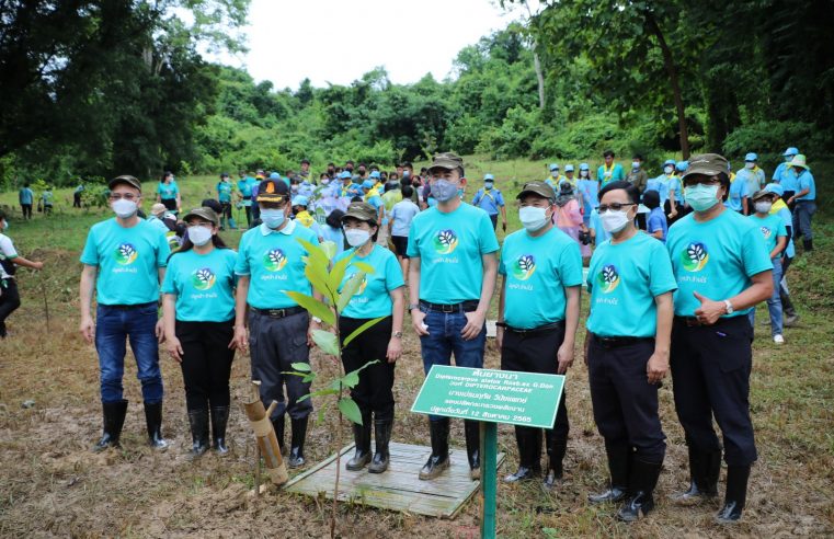 ปลูกป่าต้นน้ำเฉลิมพระเกียรติฯ