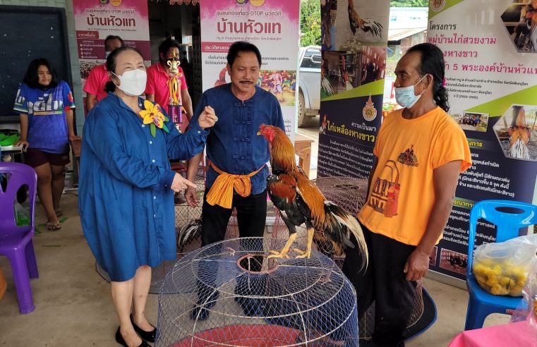 พร้อมหนุนบ้านหัวแทเป็นแห่งท่องเที่ยวสำคัญอีกหนึ่งแห่ง