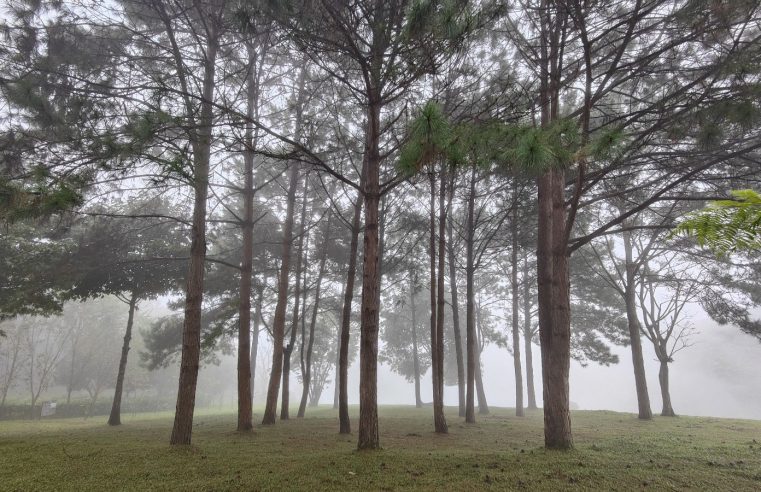 ม่านหมอกหลังฝนสวยงามบนโครงการพระราชดำริฯ ภูหินร่องกล้า
