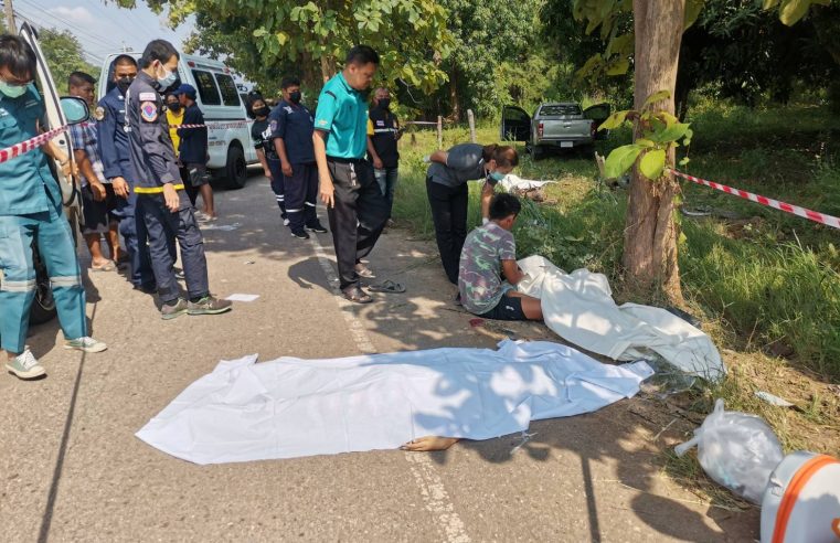 กระบะหลบสุนัขชนประสานงา จยย.ตายคาที่ 3 ราย