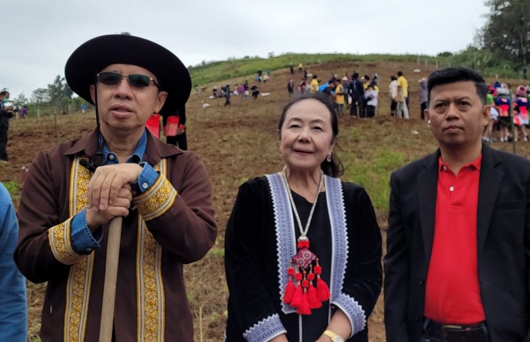 ปลูกต้นซากุระญี่ปุ่นแบบประชาอาสาที่บ้านใหม่ร่องกล้า