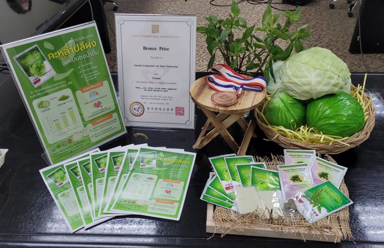 อาหารเสริมแปรรูปกะหล่ำปลีและโหระพาลดความเสี่ยง 3 โรค