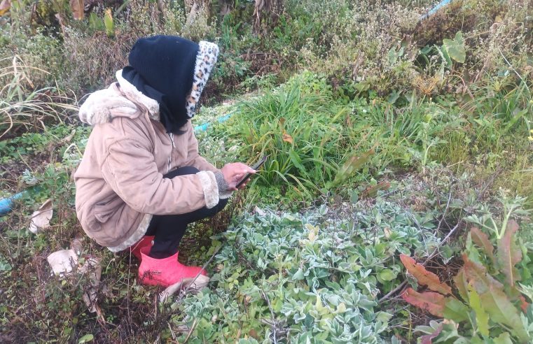 อากาศหนาวบ้านใหม่ร่องกล้าติดลบ 2 องศาเกิดแม่คะนิ้ง