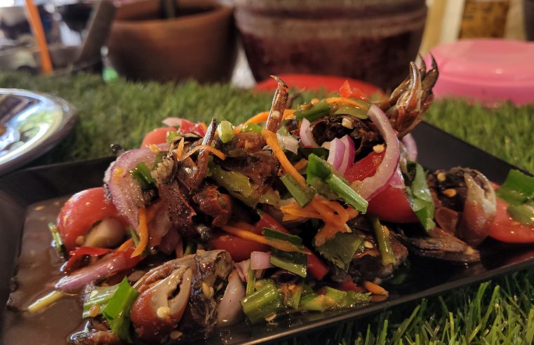 นั่งชิลริมน้ำน่านชิมส้มตำบ้านดอน น้ำปลาร้า-ปูดอง สูตรพิเศษ