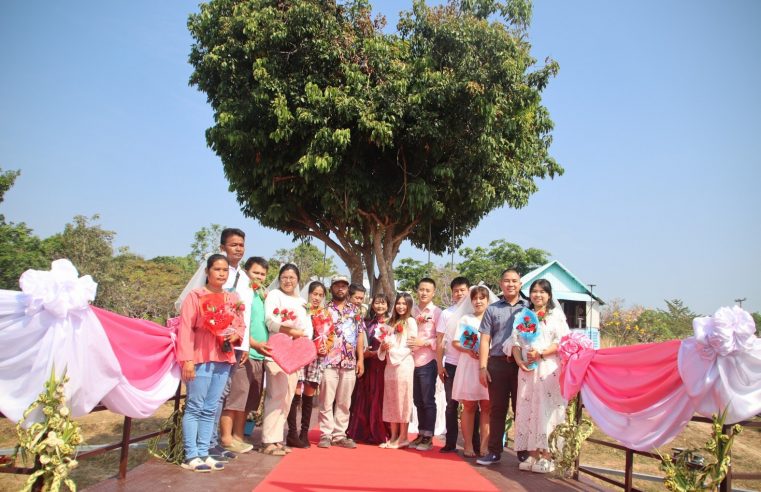 คู่รักจดทะเบียนสมรสให้ต้นไม้รูปหัวใจเป็นสักขีพยาน