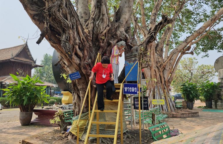 นักท่องเที่ยวเข้าวัดทำบุญไหว้พระลอดต้นโพธิ์ขอโชคลาภ