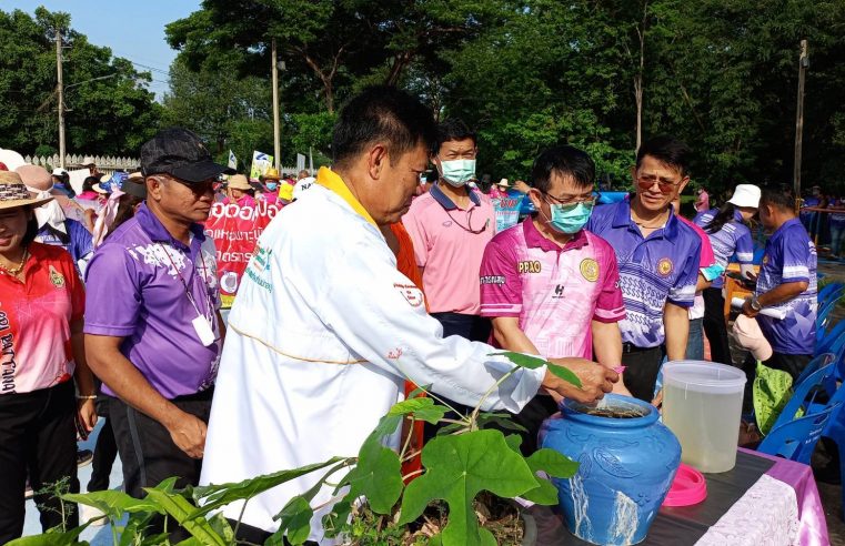 พบผู้ป่วยไข้เลือดออกสะสมสูงขึ้นเร่งรณรงค์ป้องกันระบาด
