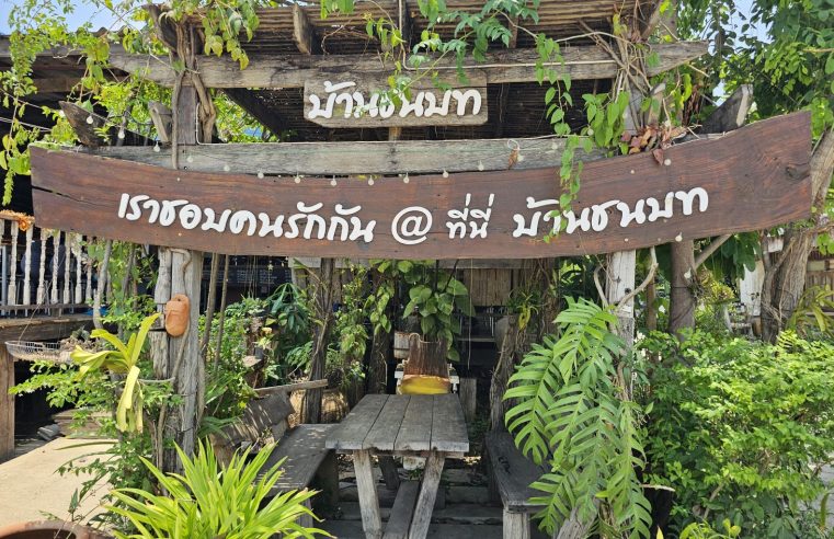 ไปลองชิมต้มยำอึ่งไข่ใบมะขามอ่อนกันมั้ย..เขาว่าเด็ดจริงนะที่ร้านบ้านชนบท