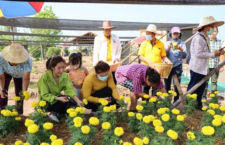 ชาวบ้านรวมกลุ่มทำสวนผักไม้ดอกไม้ประดับสร้างรายได้อย่างยั่งยืน