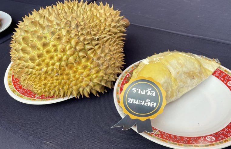 เปิดงาน Chompu Fruit Festival 2023